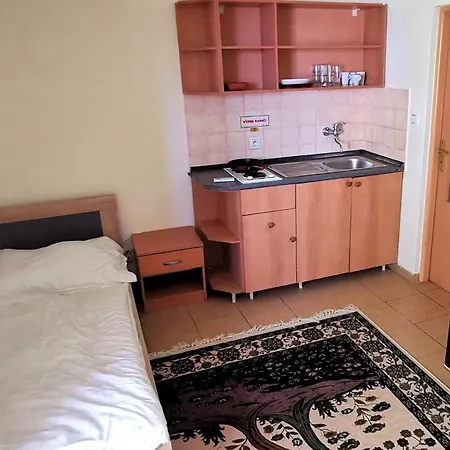 Penzion Labut Guest house *